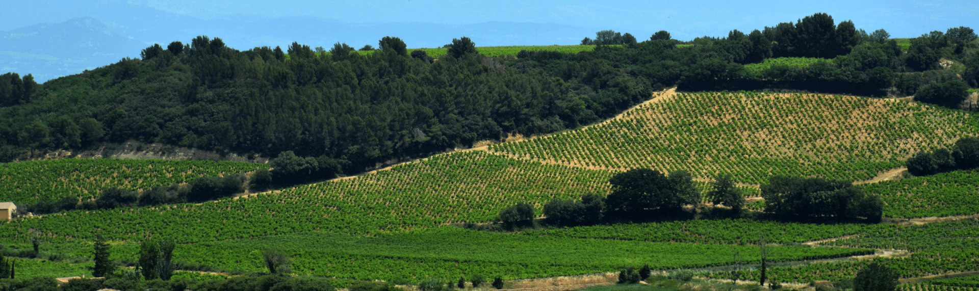 débarras maison 84 Châteauneuf-du-Pape, débarras appartement 84 Châteauneuf-du-Pape, vide maison 84 Châteauneuf-du-Pape, vide appartement 84 Châteauneuf-du-Pape, débarras maison gratuit 84 Châteauneuf-du-Pape, encombrants 84 Châteauneuf-du-Pape, vider 84 Châteauneuf-du-Pape, vider maison avant vente 84 Châteauneuf-du-Pape, vider maison après décès 84 Châteauneuf-du-Pape